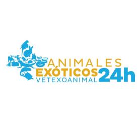 Imagen de ANIMALES EXOTICOS VETEXOANIMAL 24H