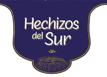Imagen de HECHIZOS DEL SUR