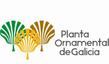 Imagen de PLANTA ORNAMENTAL DE GALICIA