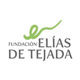 Imagen de FUNDACION ELIAS DE TEJADA