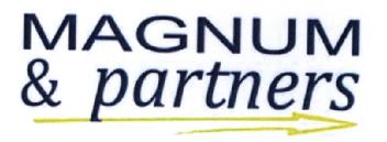 Imagen de MAGNUM & PARTNERS