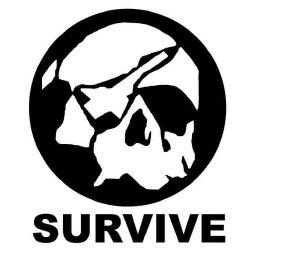 Imagen de SURVIVE