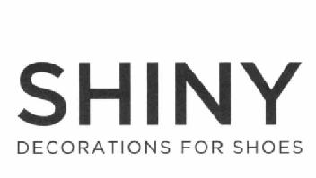 Imagen de SHINY DECORATIONS FOR SHOES
