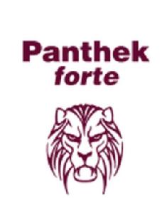 Imagen de PANTHEK FORTE