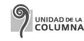 Imagen de UNIDAD DE LA COLUMNA