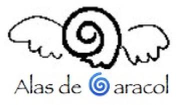 Imagen de ALAS DE CARACOL