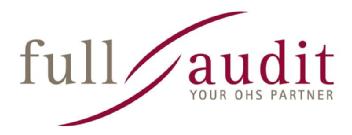 Imagen de FULL AUDIT YOUR OHS PARTNER