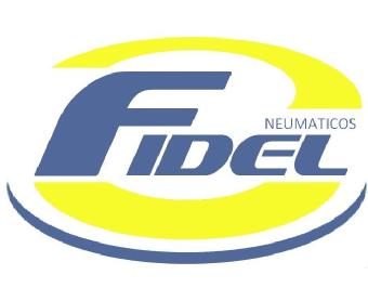 Imagen de NEUMATICOS FIDEL