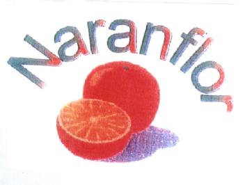 Imagen de NARANFLOR