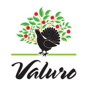 Imagen de VALURO