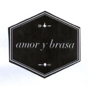 Imagen de AMOR Y BRASA