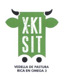 Imagen de X-KISIT