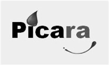 Imagen de PICARA
