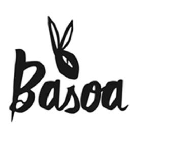 Imagen de BASOA