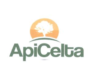 Imagen de APICELTA