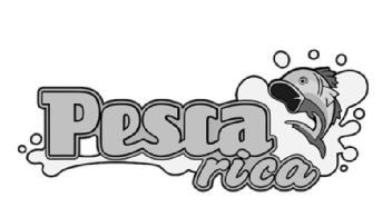 Imagen de PESCA RICA