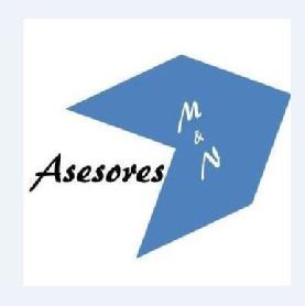 Imagen de ASESORES M & N