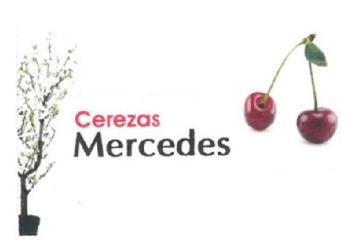 Imagen de CEREZAS MERCEDES