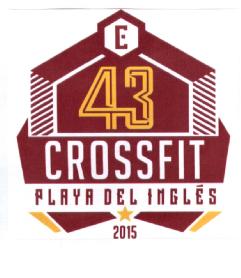 Imagen de E 43 CROSSFIT PLAYA DEL INGLES 2015