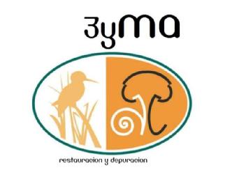 Imagen de 3YMA RESTAURACION Y DEPURACION