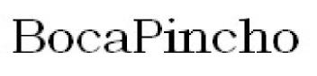 Imagen de BOCAPINCHO