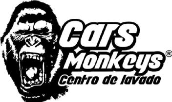 Imagen de CARS MONKEYS CENTRO DE LAVADO