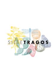 Imagen de SIETETRAGOS