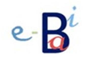 Imagen de E-BIBA