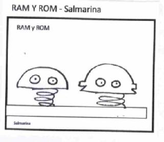 Imagen de RAM Y ROM- SALMARINA