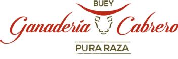 Imagen de GANADERIA CABRERO BUEY PURA RAZA