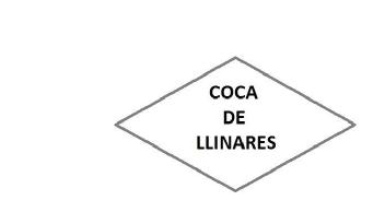 Imagen de COCA DE LLINARES