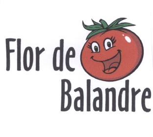 Imagen de FLOR DE BALANDRE