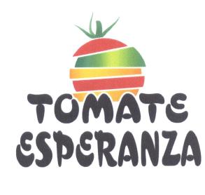 Imagen de TOMATE ESPERANZA