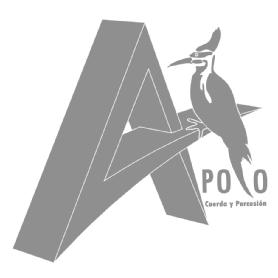Imagen de APOLO CUERDA Y PERCUSION