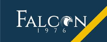 Imagen de FALCON 1976