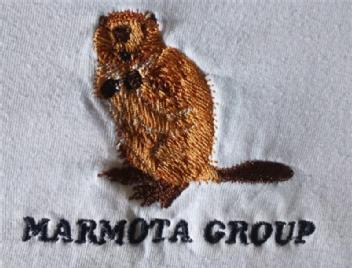 Imagen de MARMOTA GROUP