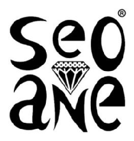 Imagen de SEO ANE