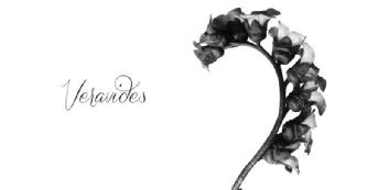 Imagen de VERAVIDES