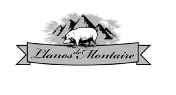 Imagen de LLANOS DE MONTAIRE