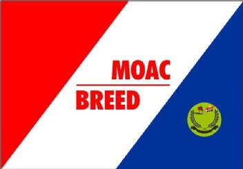 Imagen de MOAC BREED