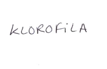 Imagen de KLOROFILA