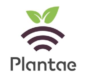 Imagen de PLANTAE