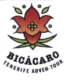 Imagen de BICACARO TENERIFE ADVEN TOUR