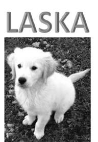 Imagen de LASKA