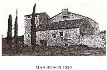 Imagen de MAS BOSCH 1526