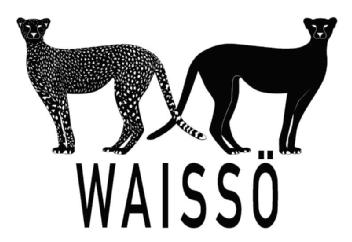 Imagen de WAISSO