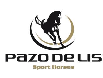 Imagen de PAZO DE LIS SPORT HORSES