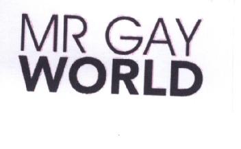 Imagen de MR GAY WORLD
