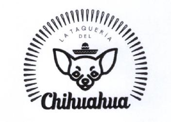 Imagen de CHIHUAHUA