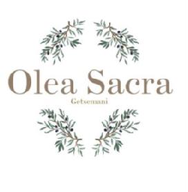 Imagen de OLEA SACRA GETSEMANI
